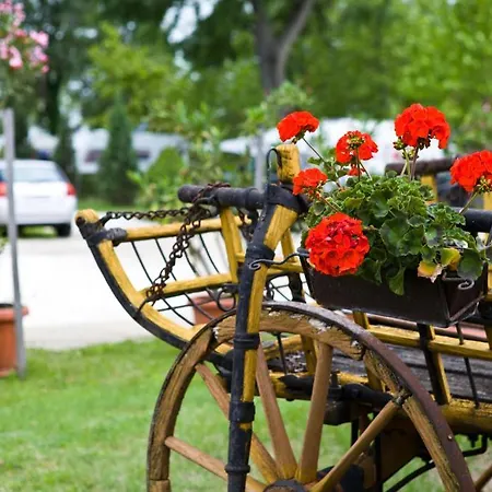 Balaton Eldorado Camping *